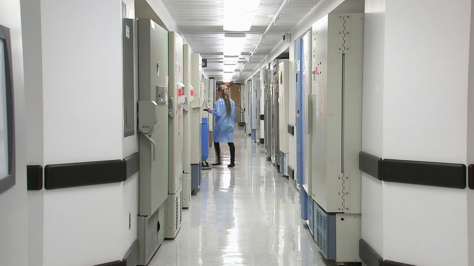 A clinical corridor lined with specimen storage units, a member of staff at the far end.